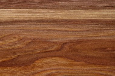 Doğal ahşap doku serisi.