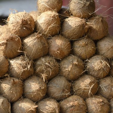 Bir hindistancevizi yığını