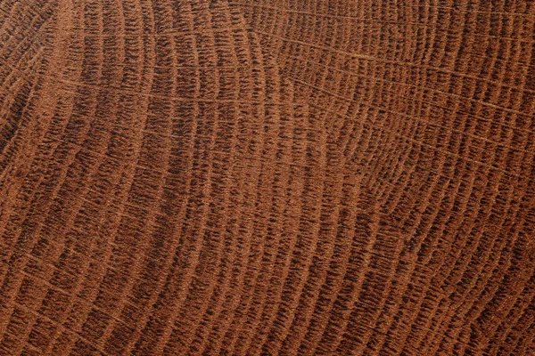 Φυσικό ξύλο — Φωτογραφία Αρχείου