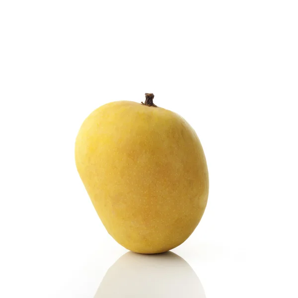 Beyaz zemin üzerine altın sarı Alphonso Mango Studio vurdu