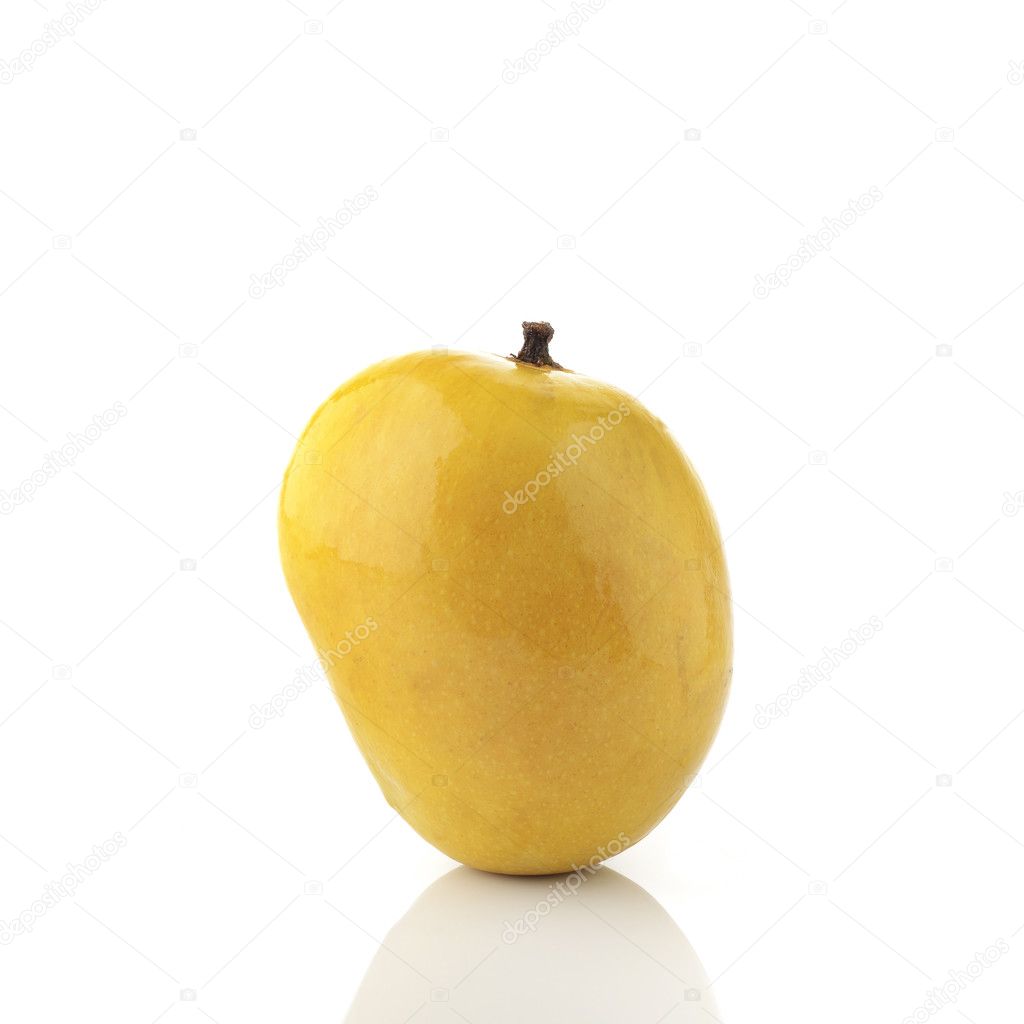 Golden Yellow Alphonso Mango On White Background Shot In Studio