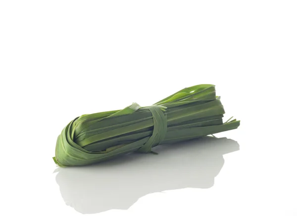 Fresh Green Lemon Grass Shot in Studio on White Background — Stock Photo, Image