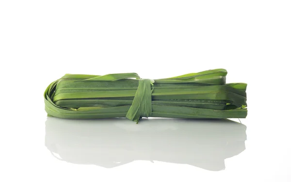 Fresh Green Lemon Grass Shot in Studio on White Background — Stock Photo, Image