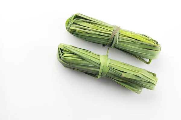 Fresh Green Lemon Grass Shot in Studio on White Background — Stock Photo, Image