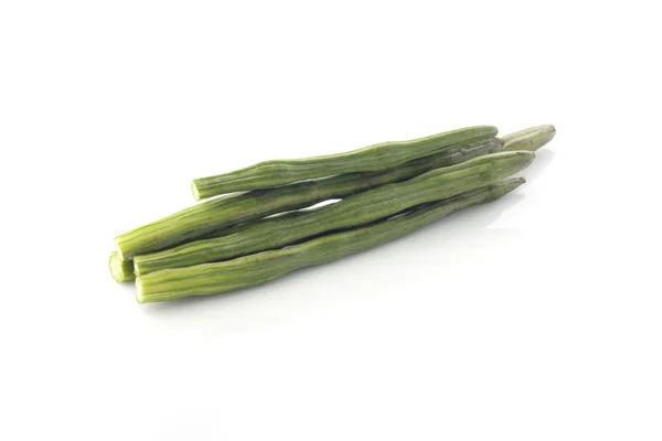 Moringa Oleifera - Drumsticks — Stok fotoğraf