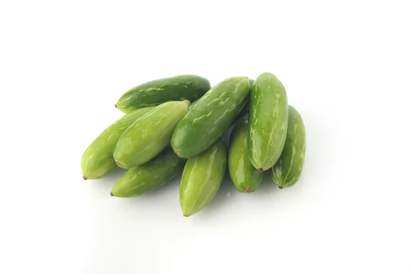 Ivy Gourd on White Background — Stock Photo, Image