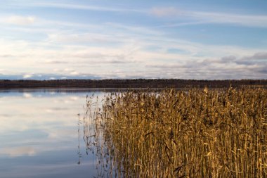 Çimen gölü kıyılarıyla kaplanmış. Gölde büyüyen bulutlar ve çimenler suya yansıyor. Sonbahar renkleri