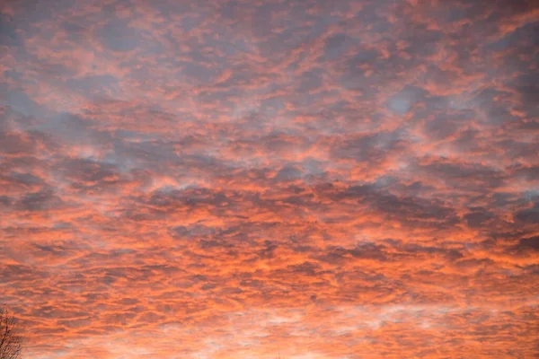Kleine Wolken werden bei Sonnenuntergang rot hervorgehoben. — Stockfoto