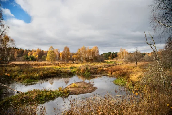 Low gray clouds, calm river, Golden foliage on the trees . Autumn landscape. Horizontal orientation