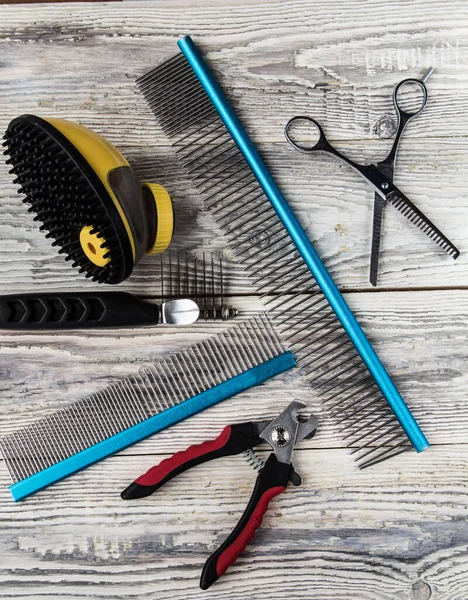 Tools for grooming animals-cats and dogs on a wooden background.