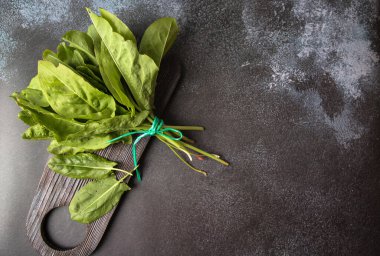 Taze kuş yaprakları, koyu arkaplanda ıspanak. Yeşil sebze ve salatadan oluşan bahar çorbası için yeşiller. Uzayı kopyala. Yeşil sebze-sorrel ıspanağı.