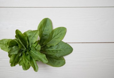 Arka planda bir demet tarla kuşu ıspanağı. İlk bahar vitaminleri. Uzayı kopyala.