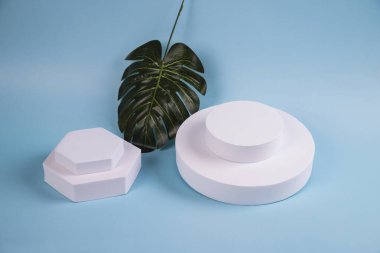 Mavi kağıt arka planda kozmetik ürünleri için yapay bir canavar yaprağı ve geometrik şekiller olan soyut minimal sahne. Ürün gösterisi için podyum.