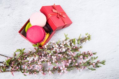 Makarna kurabiyeleri, arka planda çiçek açan dalları olan güzel bir hediye kutusunda. Tatlı hediye konsepti