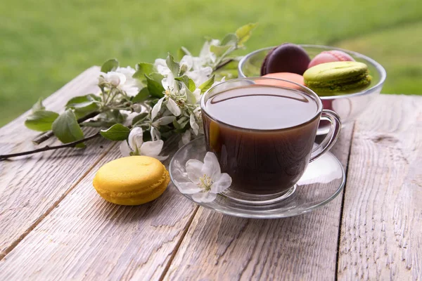 Morning breakfast in nature - a cup of coffee with macaroons cakes. The concept of outdoor recreation