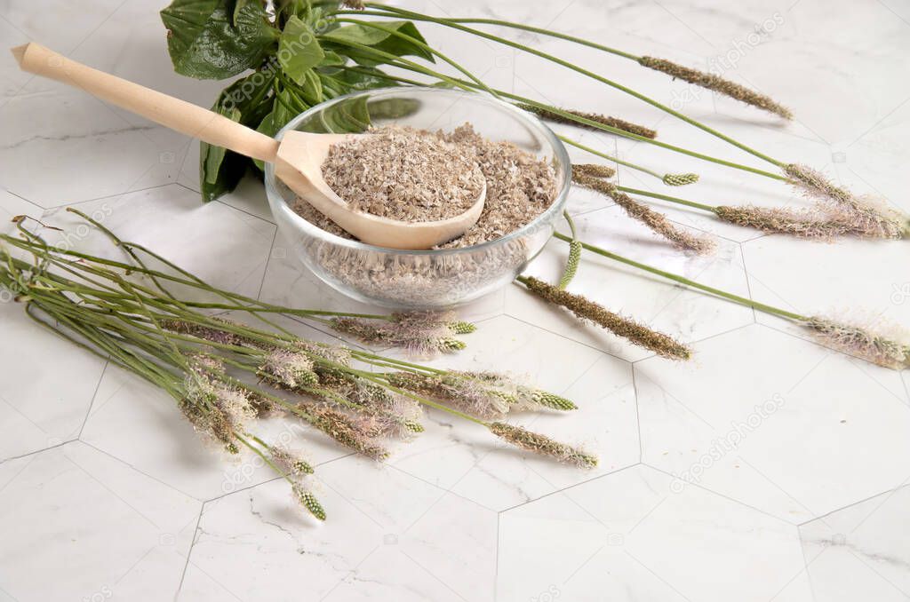 Plantain stems and a useful food additive with psyllium psyllium seed husk in a transparent plate on a light table. The concept of healthy superfoods