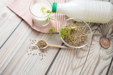 Bardakta besleyici ve iyileştirici kenevir sütü, cam tabakta kenevir homurtusu ve birkaç tutam kenevir. Vejetaryen ürünü