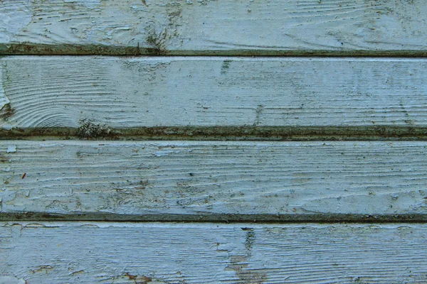 Textura diametral de madera gris azul con estructura y nudos de acero, fondo natural —  Fotos de Stock