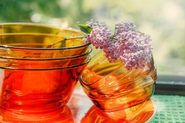 Cam ve seramik, Sauceres mor Lilac.Green doğa Background.Selective odak ile gelen yemekler