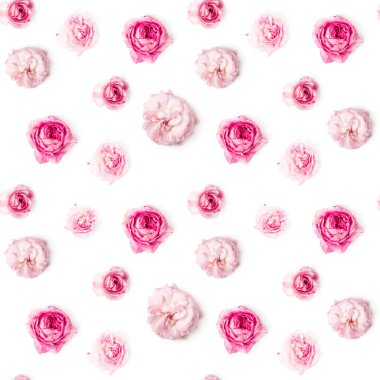 Güller pürüzsüz desen. Beyaz arka planda izole edilmiş. Çiçek dokusu.
