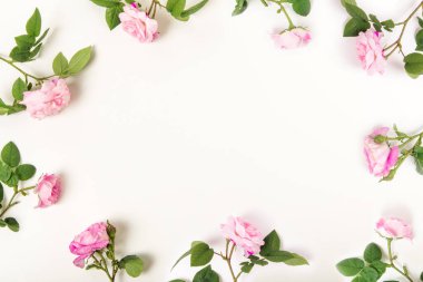 Beyaz arka planda pembe güller olan sınır çerçevesi. Düz yerde, üst tarafta. Çiçek arkaplan. Çiçek çerçevesi. Tasarım için elementler