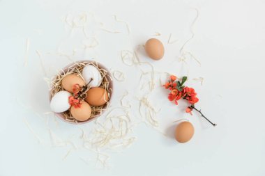 Tabağında kahverengi ve beyaz doğal yumurtalar, çiçek açan çiçekler. Paskalya, tatil konsepti, tasarımın için hediye kartı, metin için yer. Beyazların minimalist geçmişi. Üst görünüm