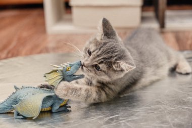 little kitten playing with a toy dragon clipart