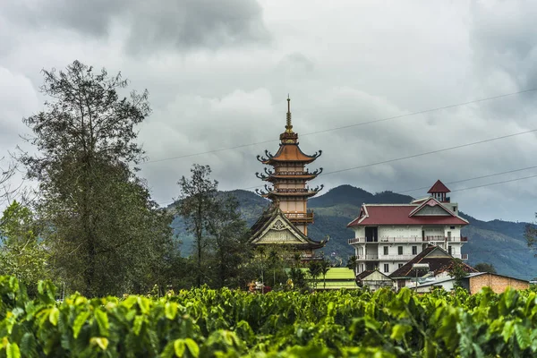 Vista Della Pagoda Minh Gia Lai Vietnam Royalty Paesaggio Immagini — Foto Stock