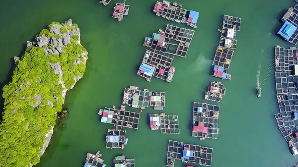 Aerial view of floating fishing village and rock island in Cat Ba island from above. Lan Ha bay. Hai phong, Vietnam.It is a touring floating fishing village of UNESCO World Heritage Site in Vietnam.