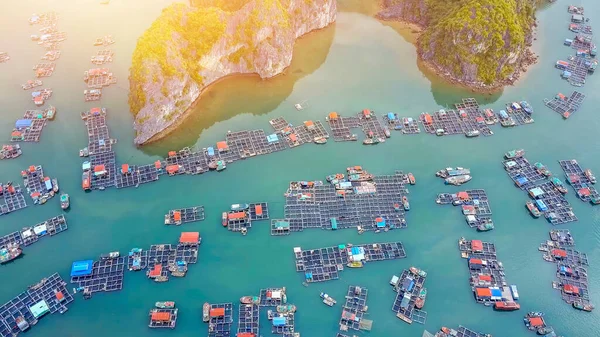 Aerial view of floating fishing village and rock island in Cat Ba island from above. Lan Ha bay. Hai phong, Vietnam.It is a touring floating fishing village of UNESCO World Heritage Site in Vietnam.