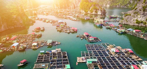 Aerial view of floating fishing village and rock island in Cat Ba island from above. Lan Ha bay. Hai phong, Vietnam.It is a touring floating fishing village of UNESCO World Heritage Site in Vietnam.