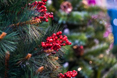 Güzel bir Noel süsü. Topları Noel ağacına yakın tut. Arka planda Bokeh çelenkleri. Yeni yıl konsepti.