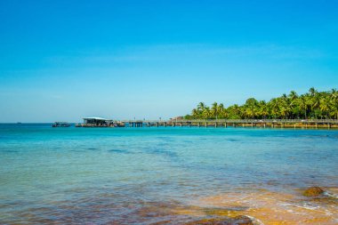 Hon Thom plajının güzel manzarası, Phu Quoc adası, Vietnam, Asya turist, sandalye ve şemsiyeli - Tropik tatil plajı. Beyaz kum ve kakao palmiyeleri turizmi gezer ve ağacın altında sallanır.