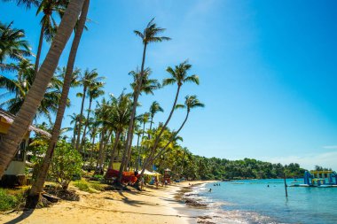 Hon Thom plajının güzel manzarası, Phu Quoc adası, Vietnam, Asya turist, sandalye ve şemsiyeli - Tropik tatil plajı. Beyaz kum ve kakao palmiyeleri turizmi gezer ve ağacın altında sallanır.