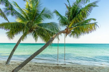 Palm Beach 'te sandalyeler ve şemsiye. Tropik bayram afişi. Beyaz kum ve kakao palmiyeleri geniş panorama arka planında seyahat eder ve ağacın altında sallanır. Phu Quoc adasındaki plaj, Vietnam, Asya.