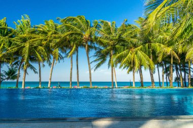 Palm Beach 'te sandalyeler ve şemsiye. Tropik bayram afişi. Beyaz kum ve kakao palmiyeleri geniş panorama arka planında seyahat eder ve ağacın altında sallanır. Phu Quoc adasındaki plaj, Vietnam, Asya.