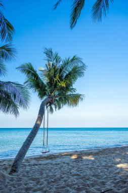 Palm Beach 'te sandalyeler ve şemsiye. Tropik bayram afişi. Beyaz kum ve kakao palmiyeleri geniş panorama arka planında seyahat eder ve ağacın altında sallanır. Phu Quoc adasındaki plaj, Vietnam, Asya.