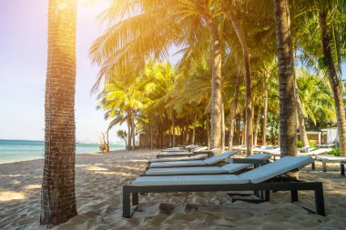 Palm Beach 'te sandalyeler ve şemsiye. Tropik bayram afişi. Beyaz kum ve kakao palmiyeleri geniş panorama arka planında seyahat eder ve ağacın altında sallanır. Phu Quoc adasındaki plaj, Vietnam, Asya.