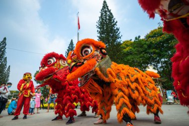 Ho Chi Minh şehri, Vietnam - 24 Ocak 2021: Çin Yeni Yıl Festivali 'nde Ejderha ve Aslan dansı gösterisi (Tet festivali), Aslan Dansı - Vietnam' da ejderha ve aslan dansı sokak gösterileri