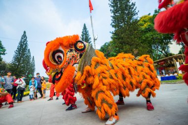 Ho Chi Minh şehri, Vietnam - 24 Ocak 2021: Çin Yeni Yıl Festivali 'nde Ejderha ve Aslan dansı gösterisi (Tet festivali), Aslan Dansı - Vietnam' da ejderha ve aslan dansı sokak gösterileri