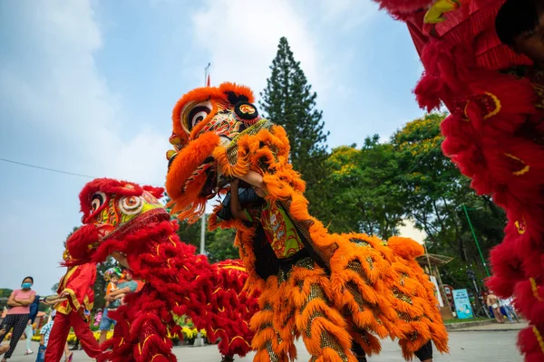 Cidade Chi Minh Vietnã Janeiro 2021 Dragon Lion Dance Show — Fotografia de Stock