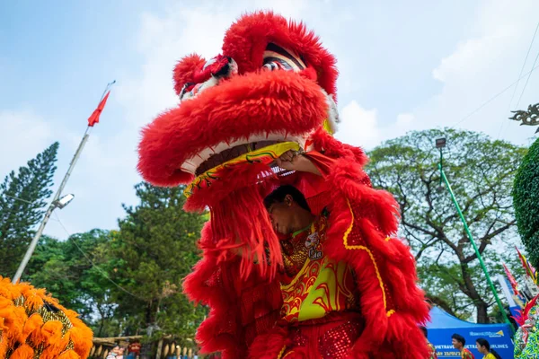 Chi Minh City Vietnam Jan 2021 Dragon Lion Dance Show — Stock Photo, Image