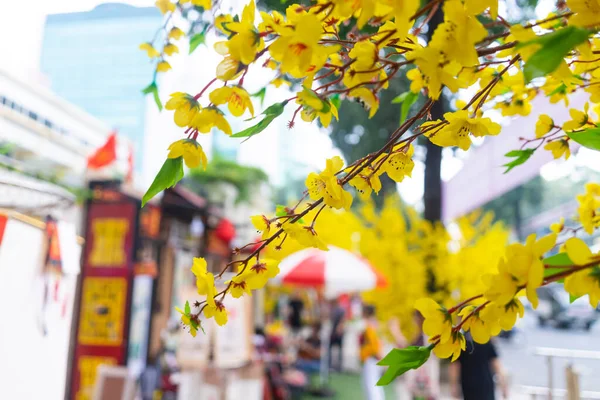 ベトナムでのテトの休日に装飾的なプラスチック黄色のアプリコットの花 背景と祭りのコンセプト 選択的焦点 — ストック写真