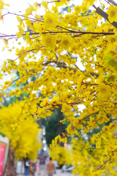 Декоративні Пластикові Жовті Квітки Абрикосів Тетському Святі Єтнамі Тло Фестиваль — стокове фото