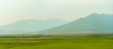 Gia Lai, Vietnam 'da, mavi gökyüzünün altında dağları olan yeşil pirinç tarlası.