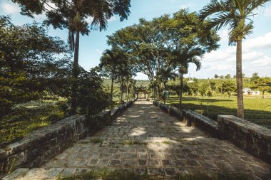 Bao Loc şehrindeki Bat Nha Pagoda 'nın güzel manzarası, Lam Dong eyaleti, Vietnam. Fotoğraflardaki metnin anlamı Bat Nha pagoda (Vietnamca). Seyahat ve din kavramı.