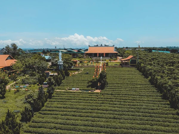 Veduta Aerea Tea Pagoda Lingua Vietnamita Chua Tra Nella Città — Foto Stock