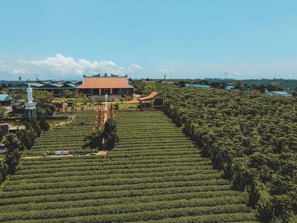 Letecký Pohled Tea Pagoda Vietnamský Jazyk Chua Tra Městě Bao — Stock fotografie