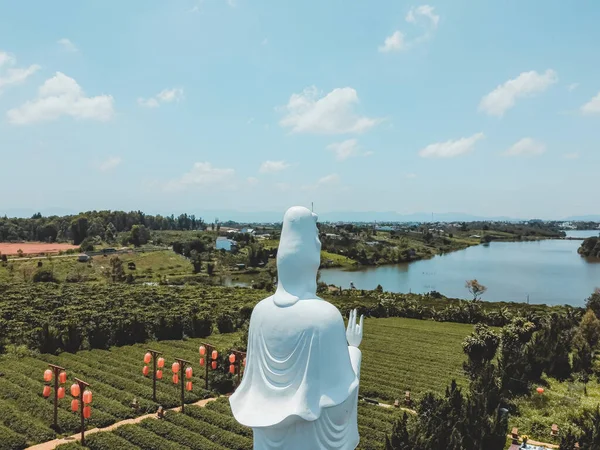 Veduta Aerea Tea Pagoda Lingua Vietnamita Chua Tra Nella Città — Foto Stock