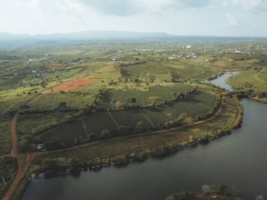 Bao Loc şehrindeki Tam Chau çay çiftliğinin havadan görünüşü, Lam Dong eyaleti, Vietnam. Seyahat ve manzara konsepti.
